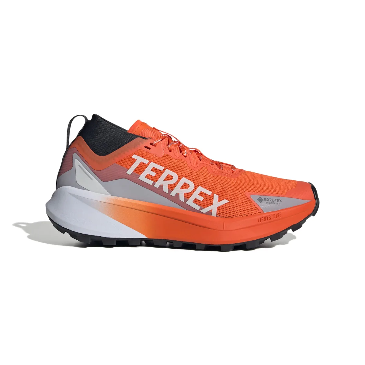 Adidas Terrex Agravic Gtx Seimor/ftwwht/carbon