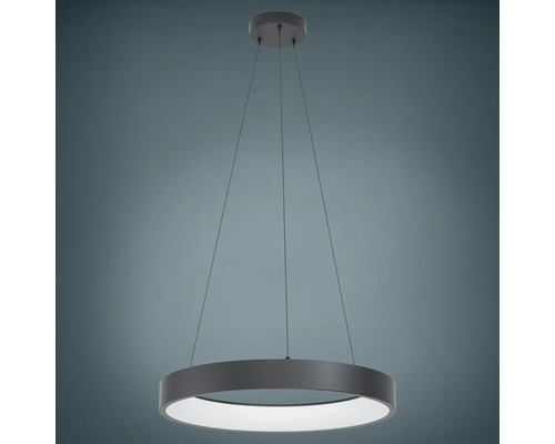 LED Smart Light Hanglamp 6.5W 3400 lm CCT RGB HxØ 111x60 cm zwart - Compatibel met SMART HOME van hornbach