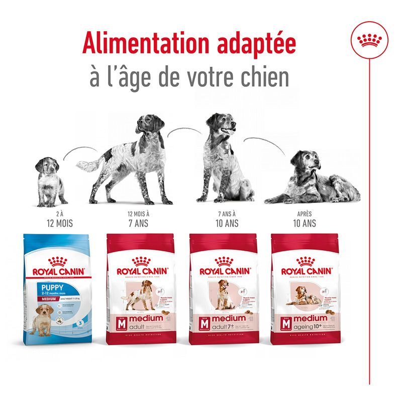 Royal Canin Medium Adult 7+ à prix discount sur bitiba.fr