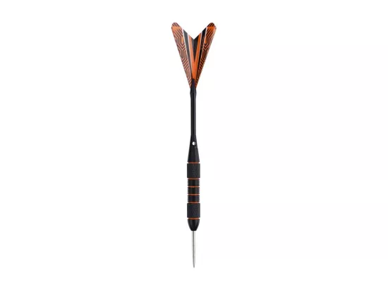 Cible de fléchettes traditionnelle 45 cm et Anneau de protection extérieur