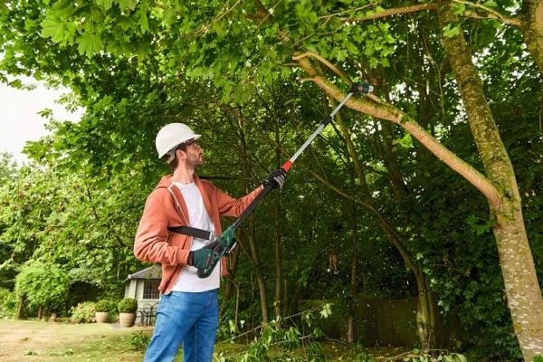 Bosch Batteridrevet kædesav med UniversalChainPole 18