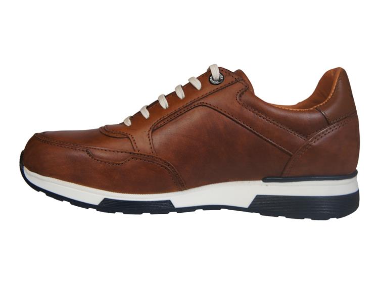 Van Lier 2315576 620 Cognac