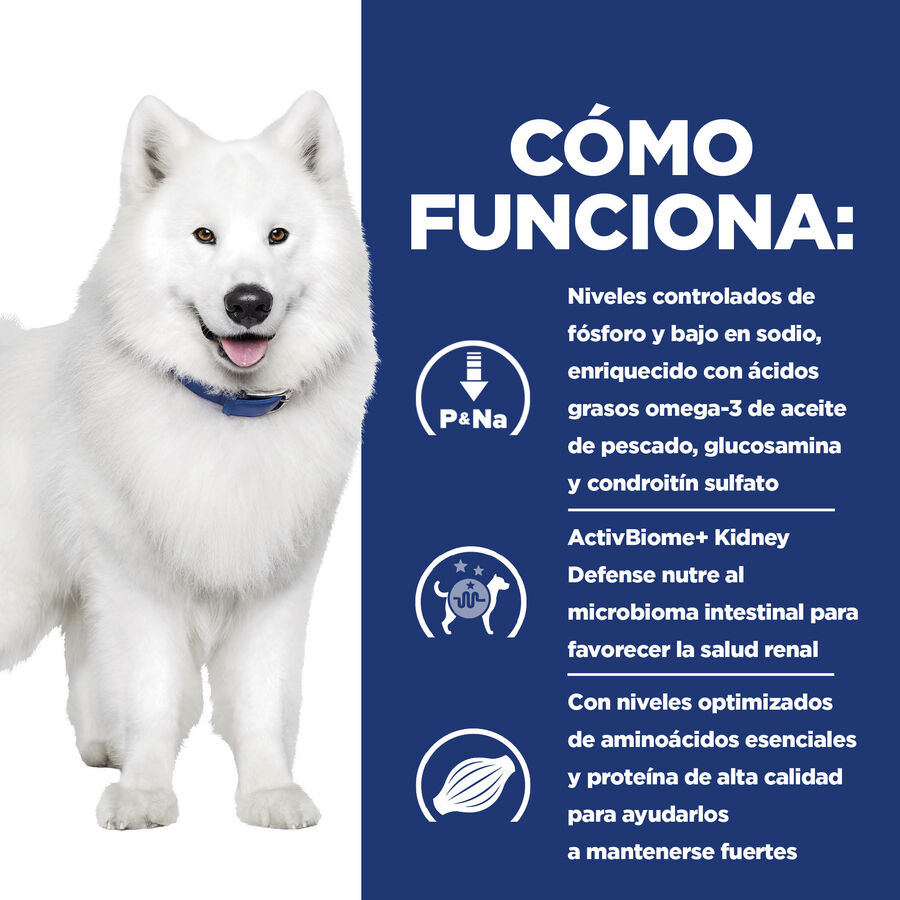 Ração Hill's Prescription Diet para cães com problemas renais e de mobilidade