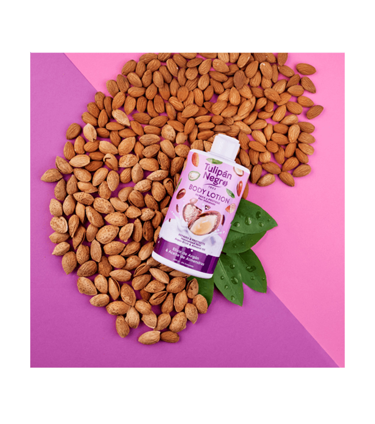 Tulipán Negro - Loção Corporal - Elixir de Óleo de Argan e Amêndoa