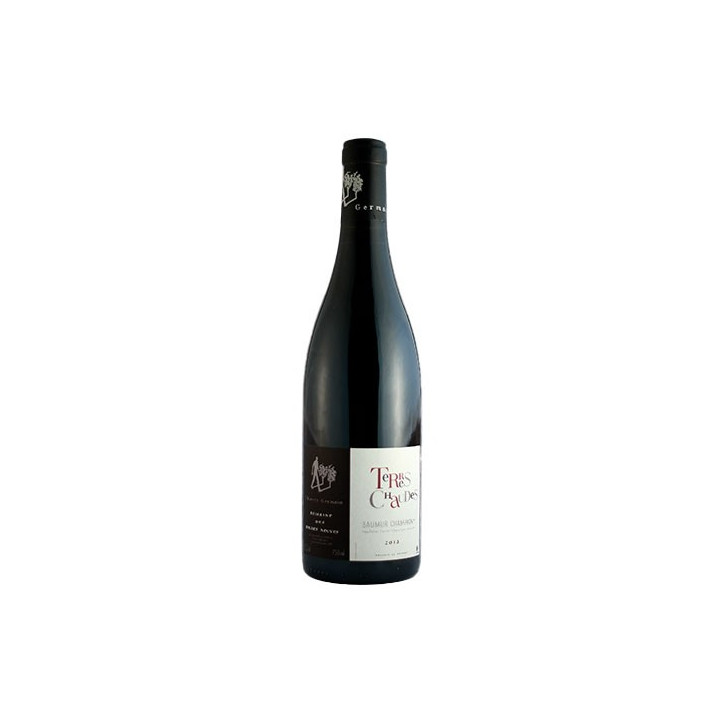 Domaine des Roches Neuves Saumur Champigny Terres Chaudes 2019