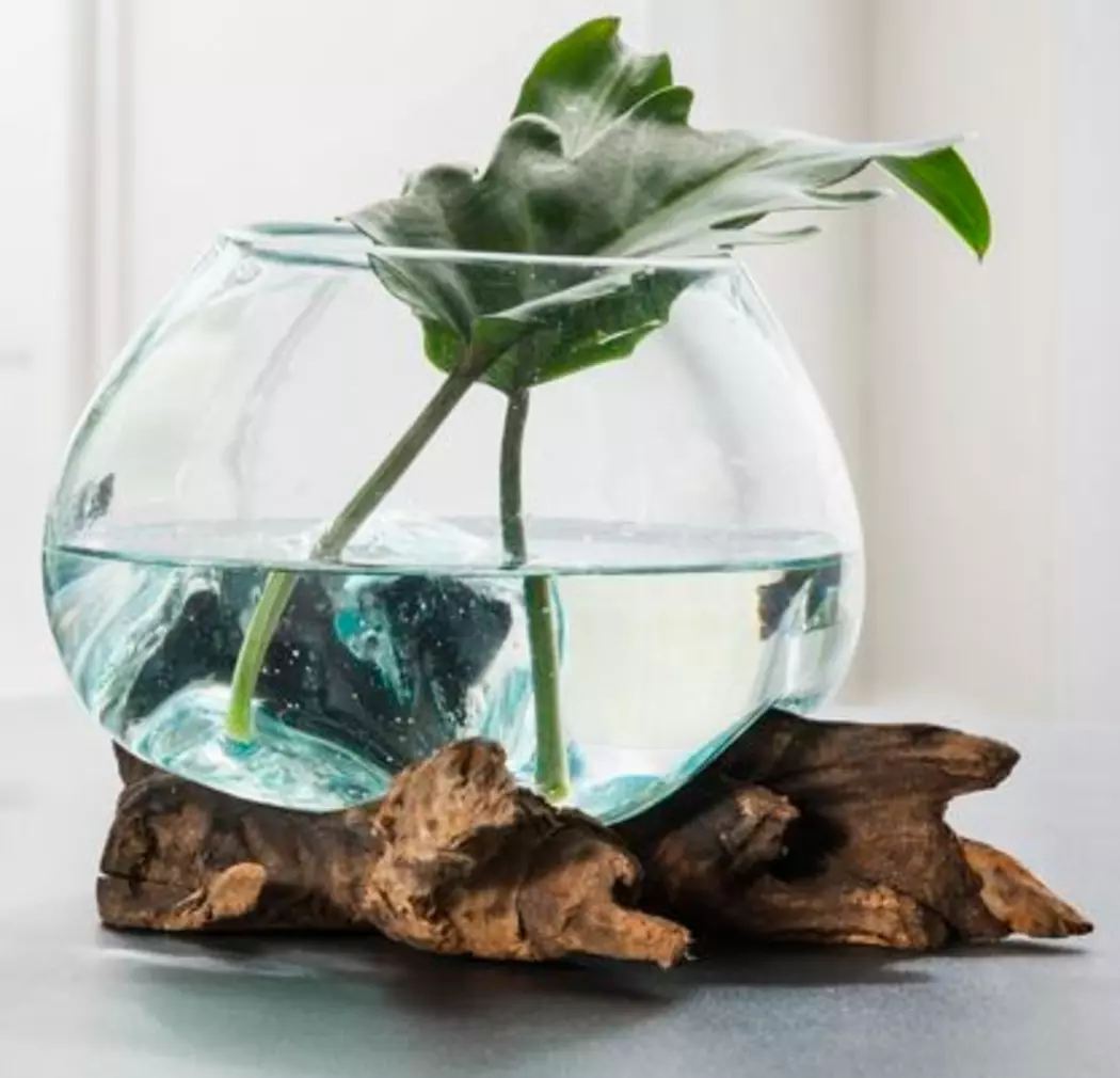 Vase Dekowurzel