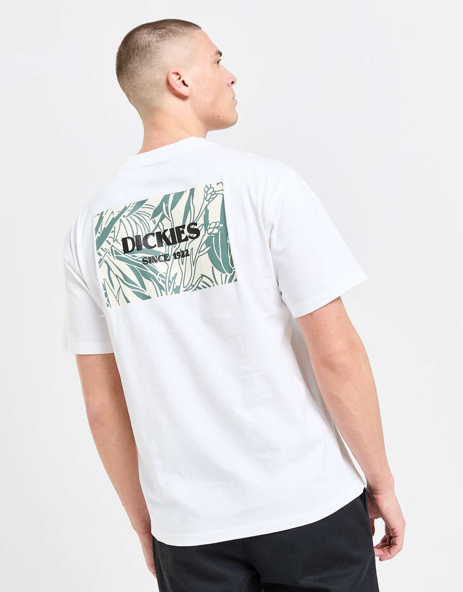 Dickies T-shirt Max Meadows Homme