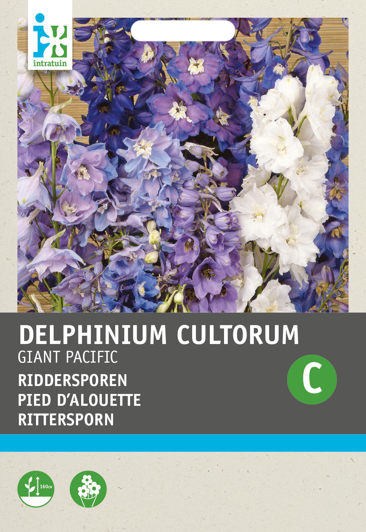 Intratuin bloemenzaad Ridderspoor gemengd (Delphinium cultorum 'Giant pacific')