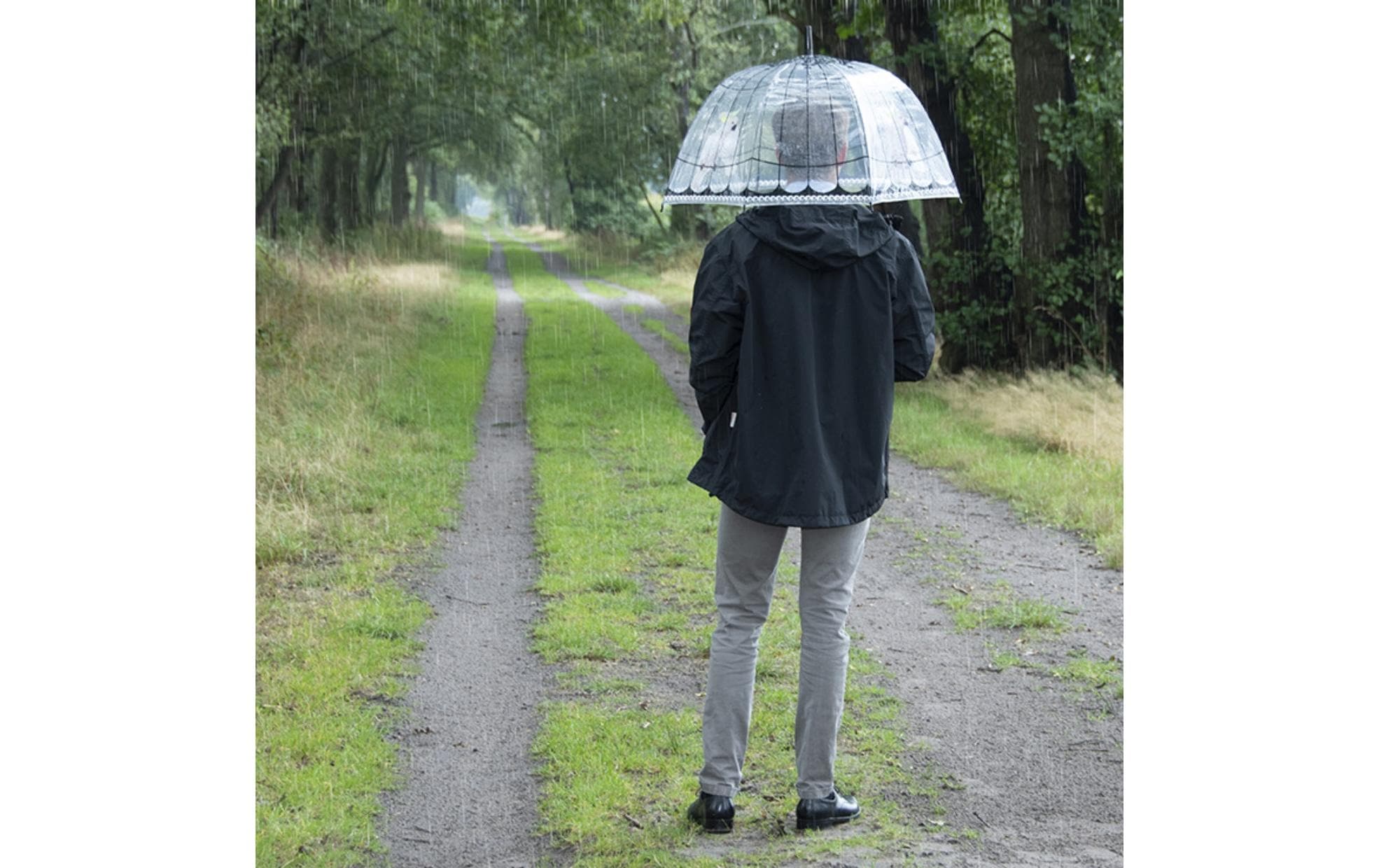Schirm Vogelkäfig Rosa/Schwarz/TransparentTransparenter Regenschirm