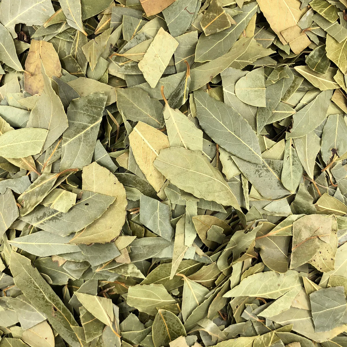 Laurier Feuilles Coupées Bio en Vrac 250g Vrac Bio