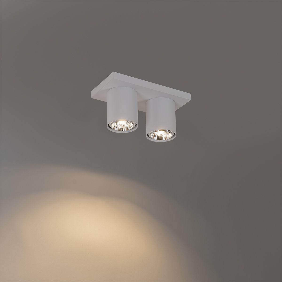 Moderne plafondspot wit 2-lichts - Tubo