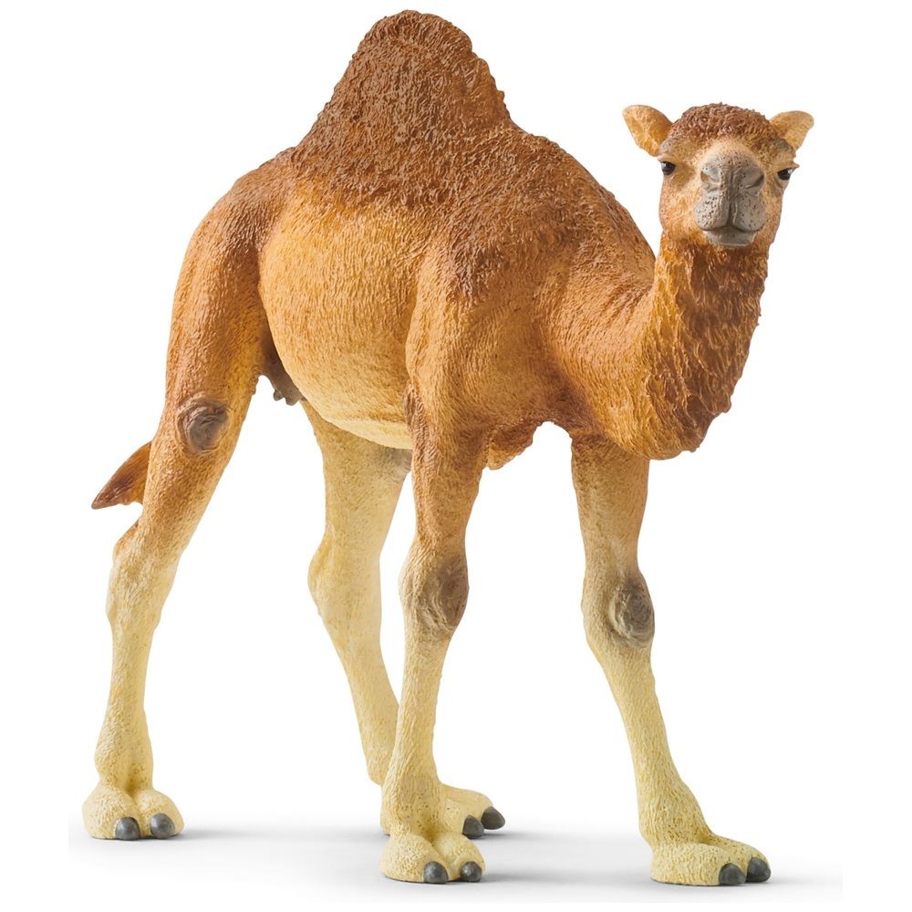 Schleich Dromedar