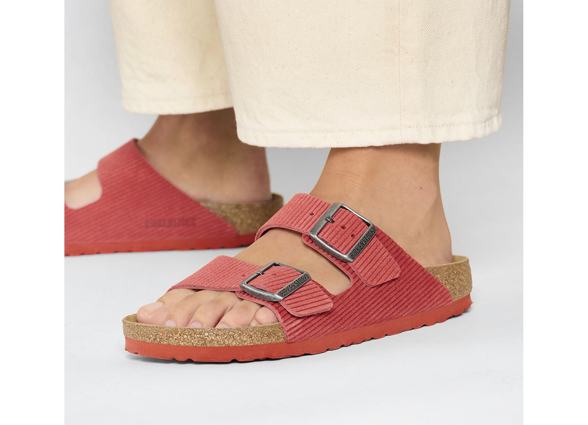 Arizona corduroy w rouge
