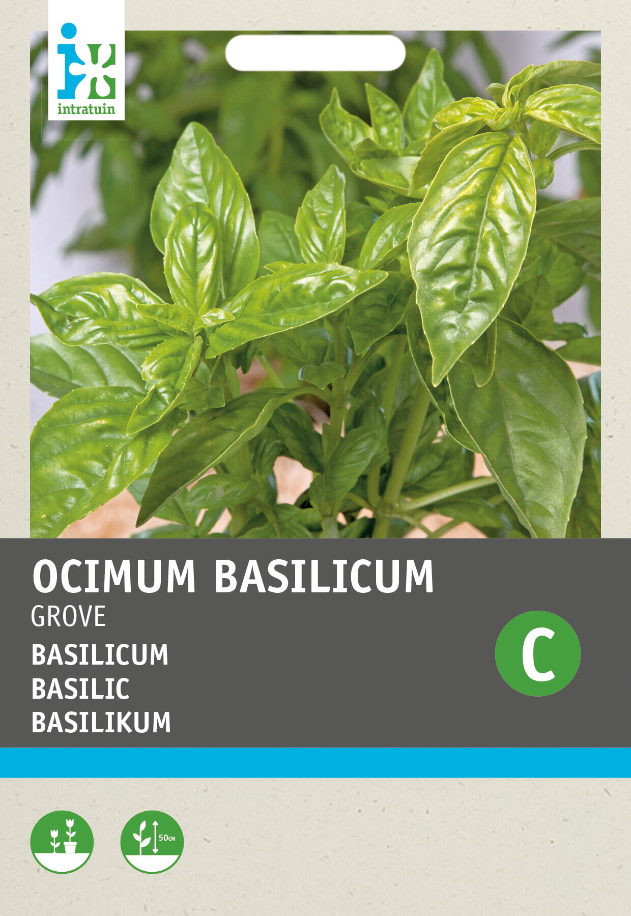 Intratuin kruidenzaad Basilicum grove (Ocimum basilicum)