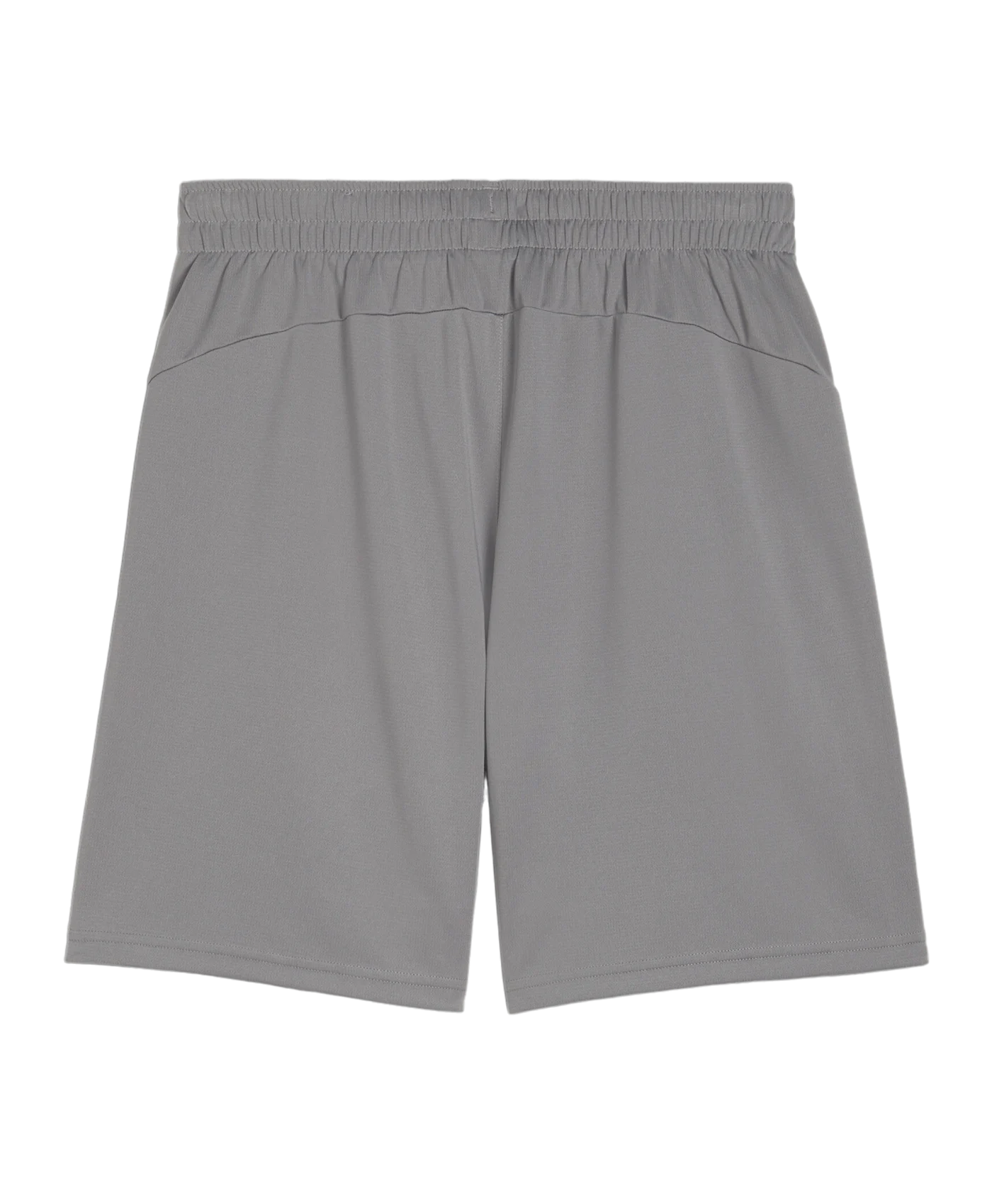 PUMA teamFINAL Trainingsshorts Grau F13