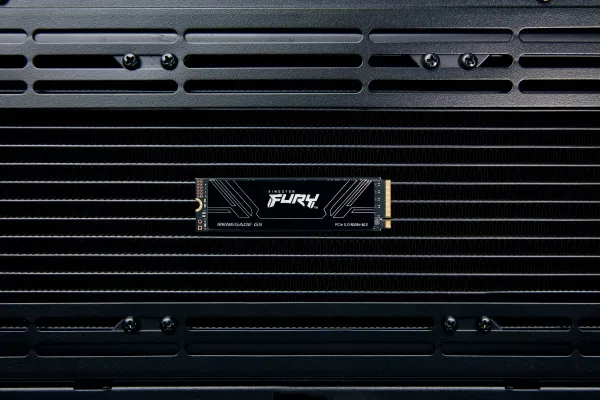 Kingston Fury Renegade G5 1TB (black, PCIe 5.0 x4, NVMe, M.2 2280)