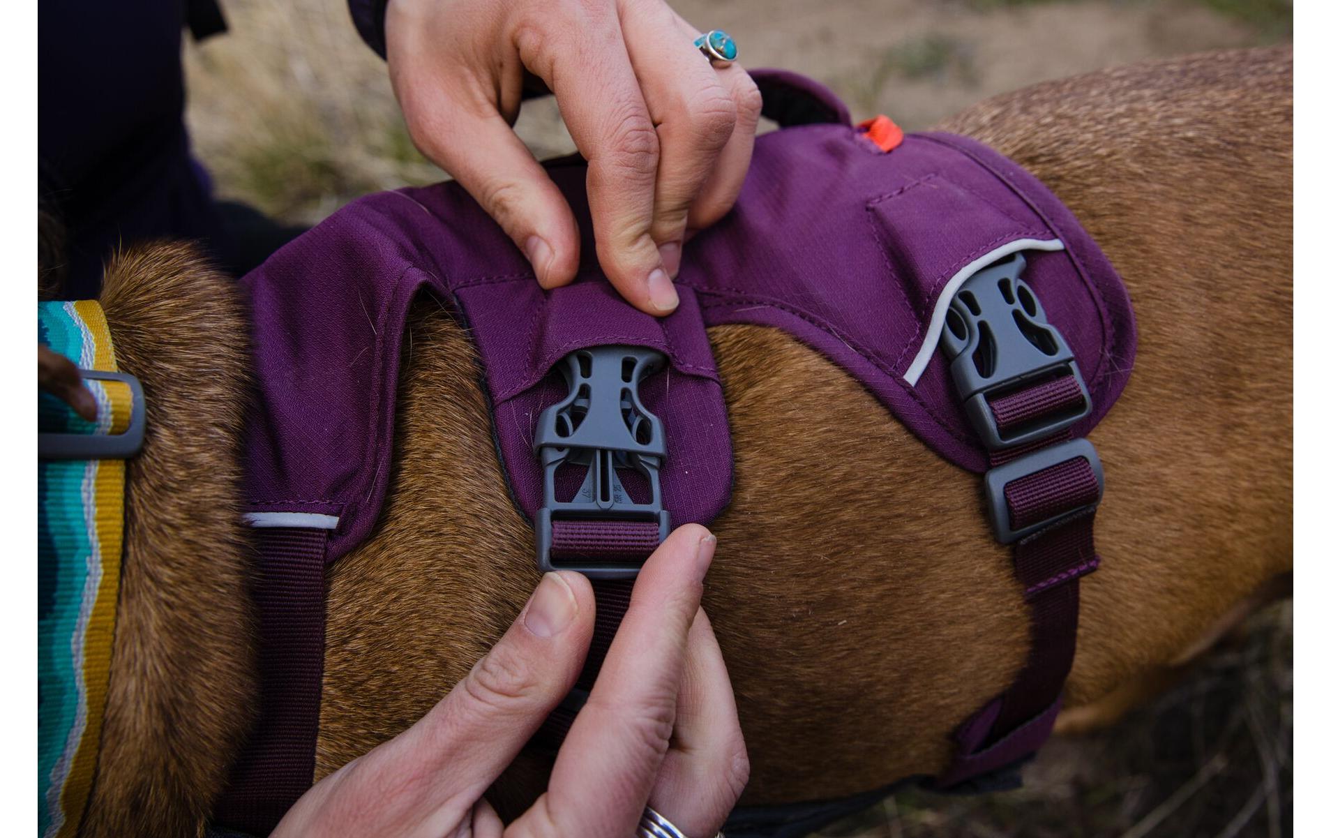 Geschirr Web Master Purple Rain SmallHundegeschirr