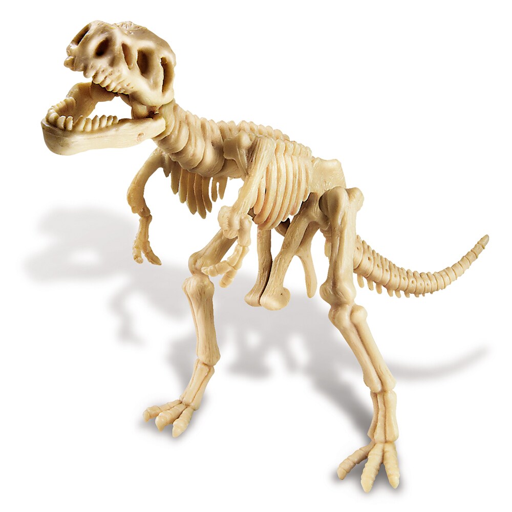 4M KidzLabs - Dinosaurier Ausgrabung T-Rex