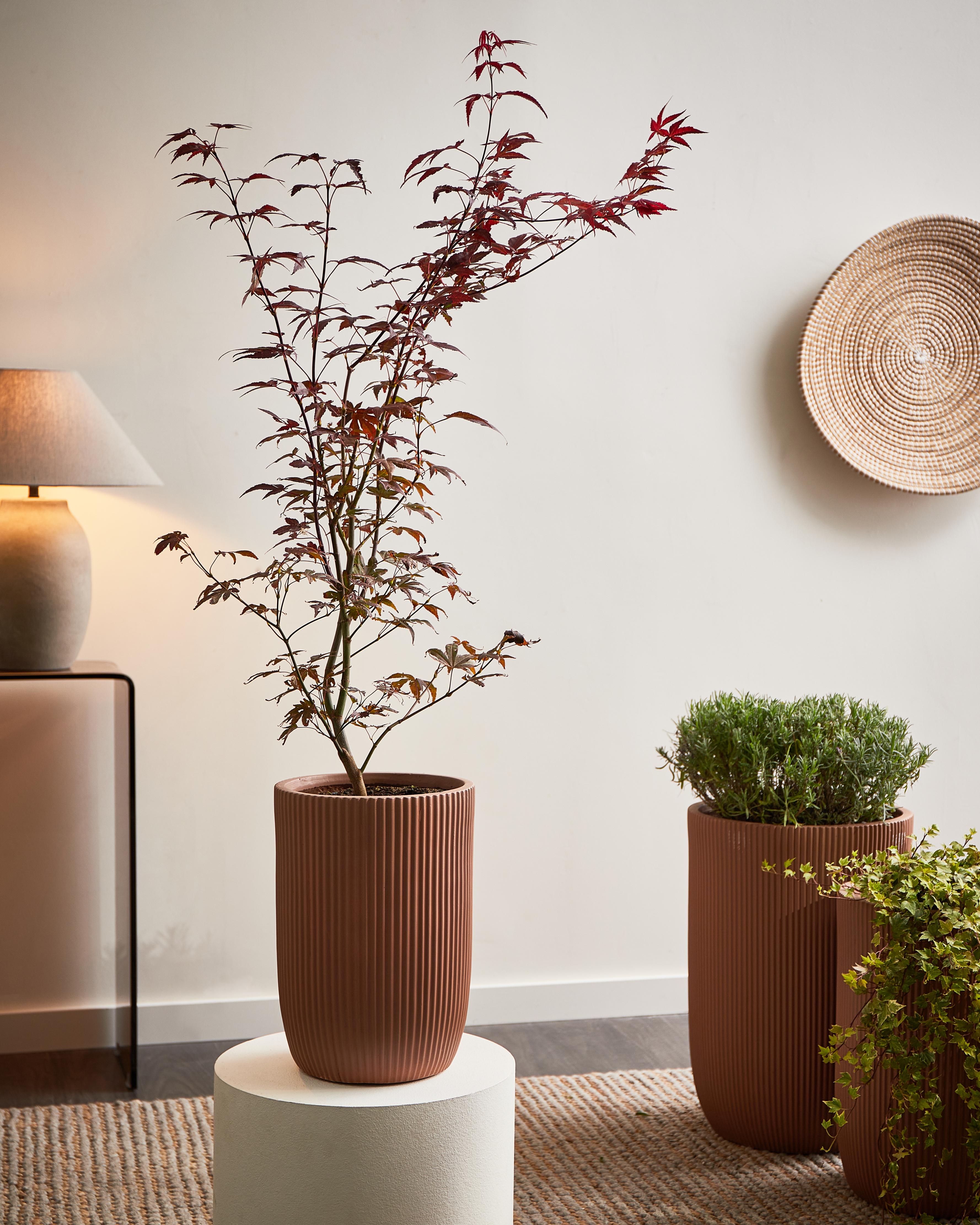 Bloempot EANTIO 25 cm Bruin