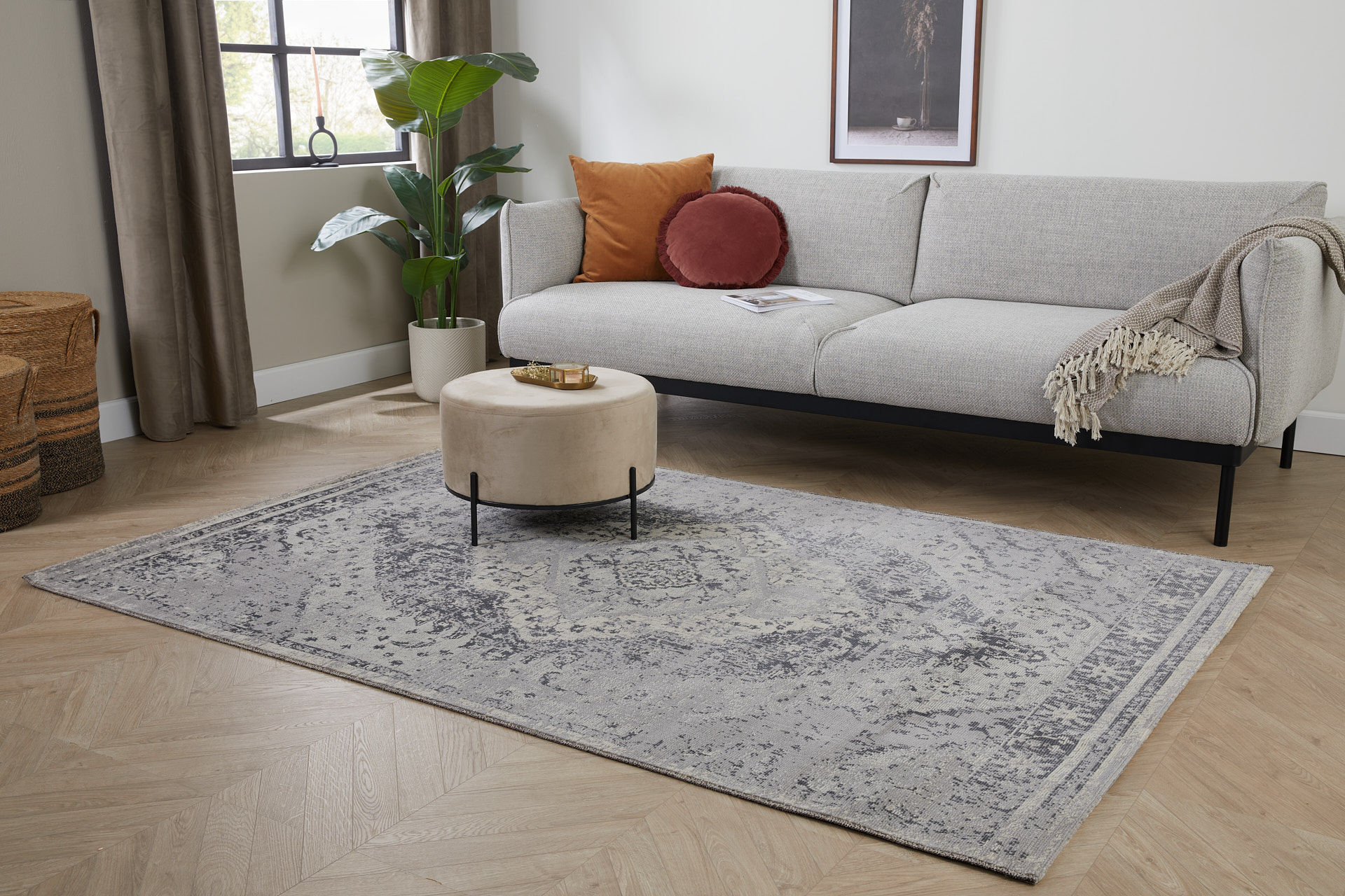 Vloerkleed Aqua Rosa grijs/crème 80x150 cm