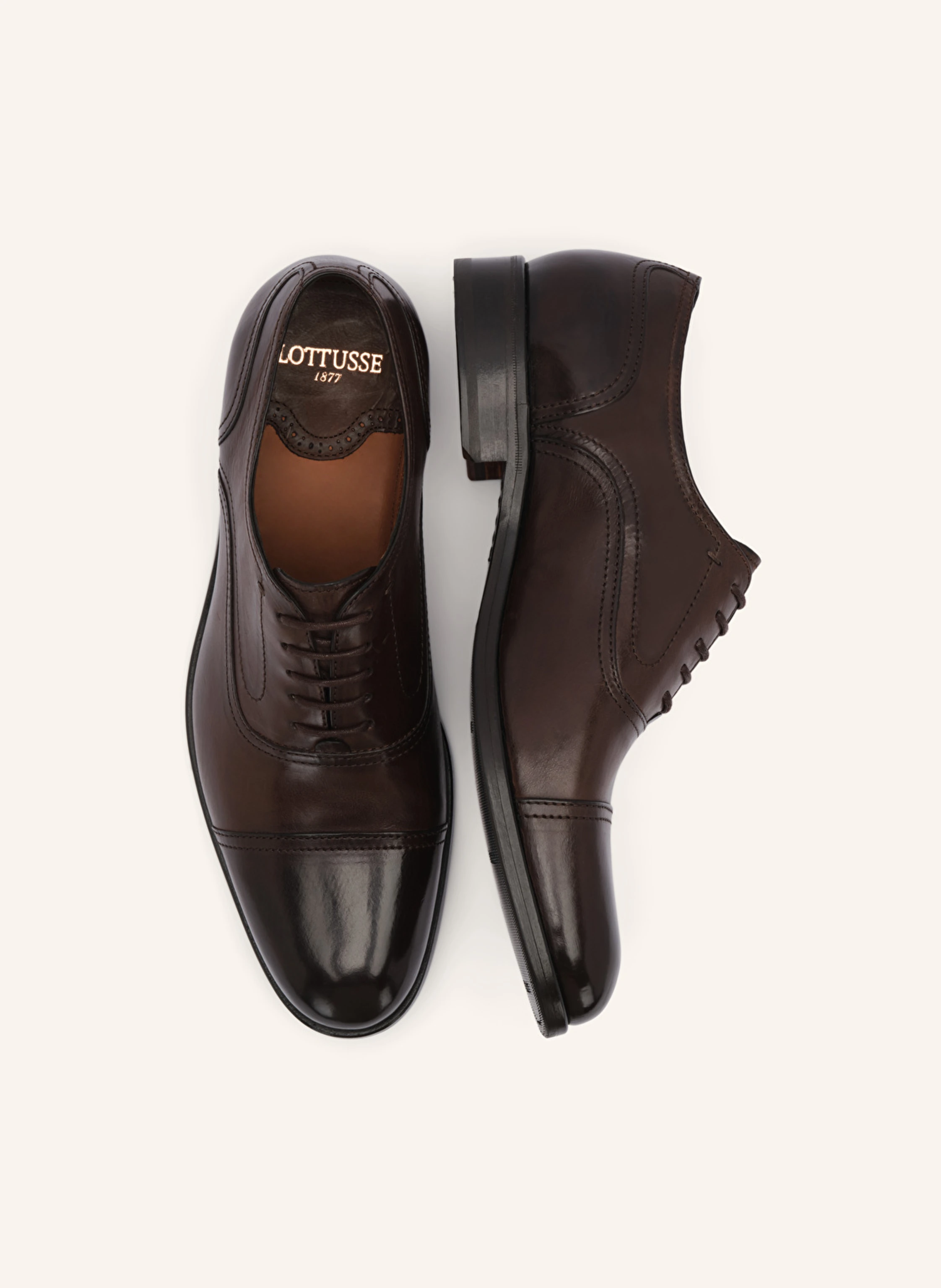 LOTTUSSE Oxford LUTTON