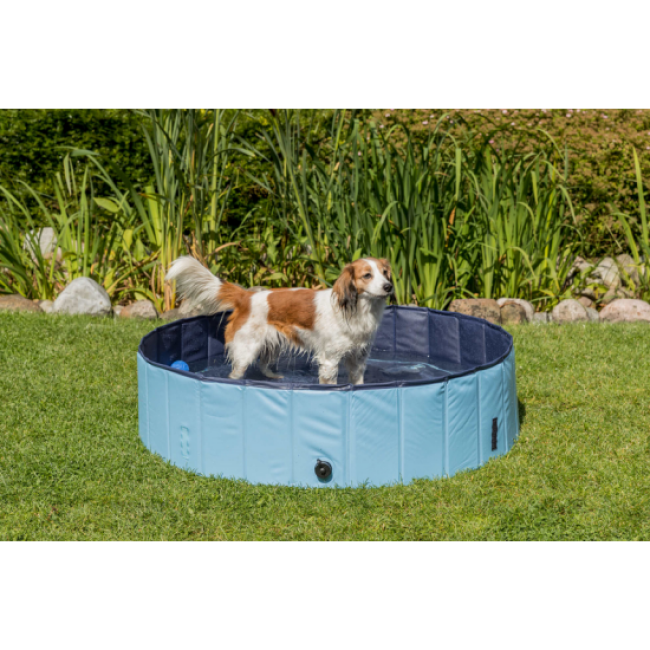 Piscine Trixie pour chien
