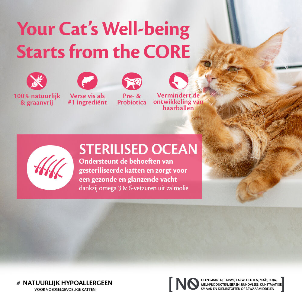 Wellness Core Sterilised Ocean Adult - Kattenvoer - 4 Kilogram - zalm
