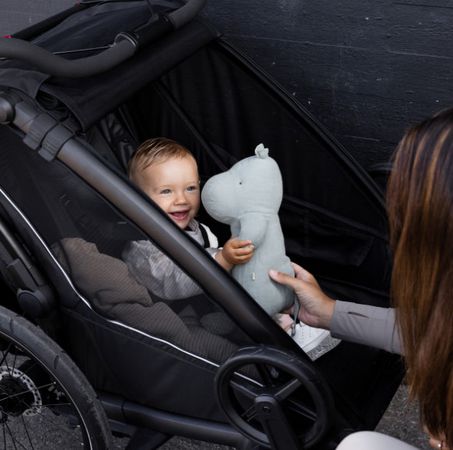 THULE CHARIOT SPORT 2 Gen. 2 Kinderanhänger  black