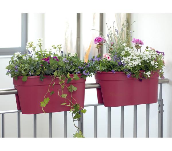 KHW Kunststoff-Geländertopf Flowerclip, ca.