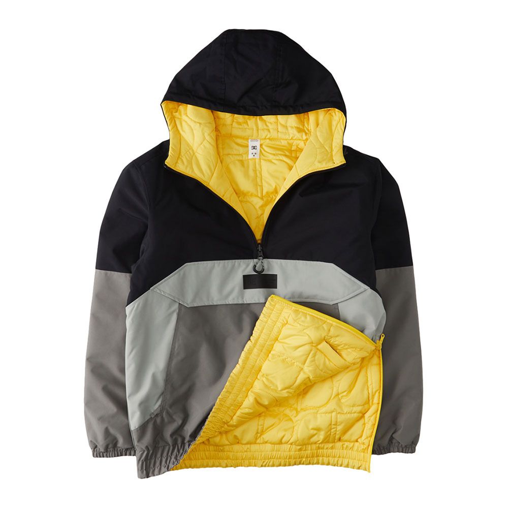 DC Shoes NEXUS - Veste ski Homme black