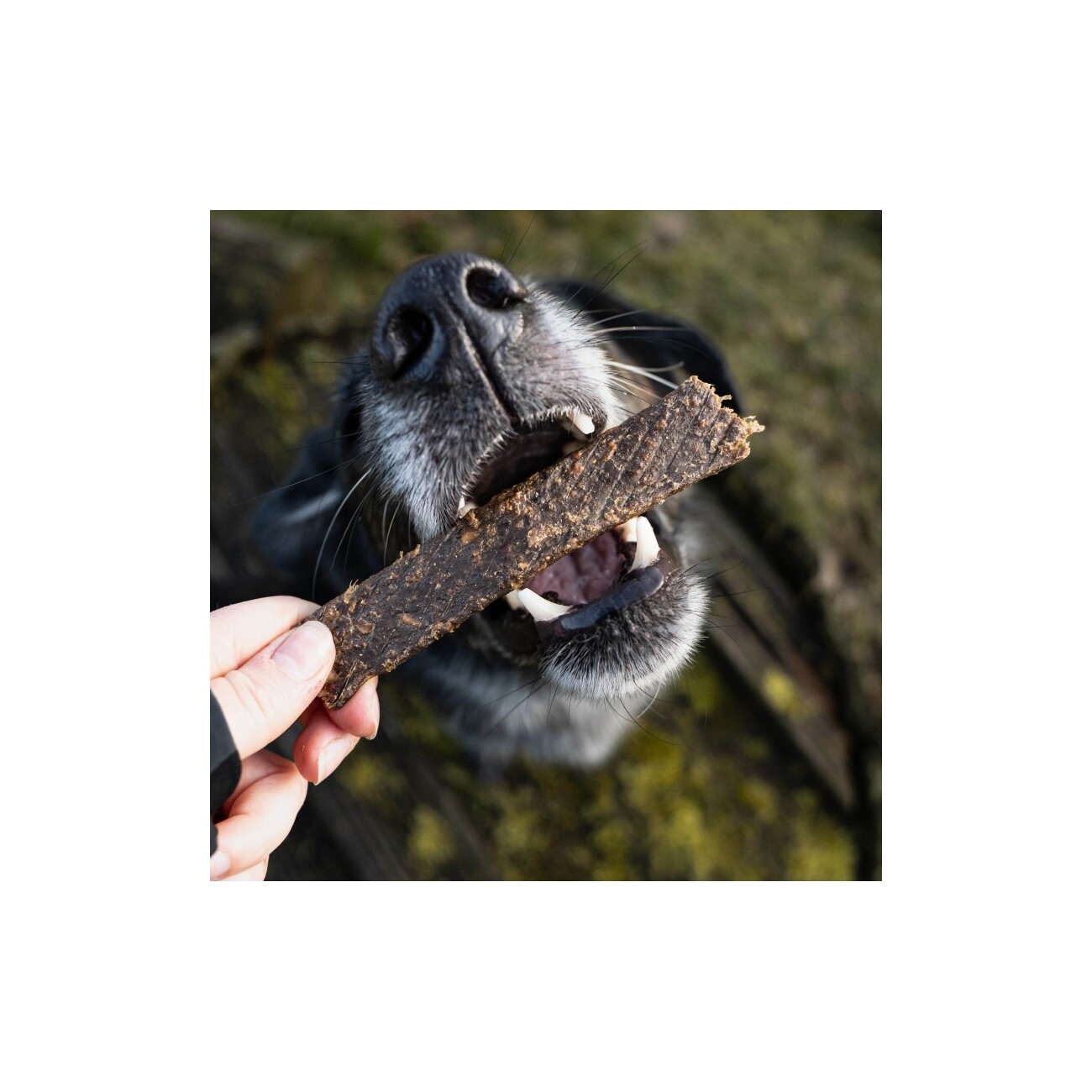 Bellfor Hundesnack - Fleischstreifen Ziege - 100g