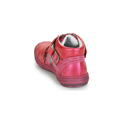 GBB - RADEGONDE - Rose
