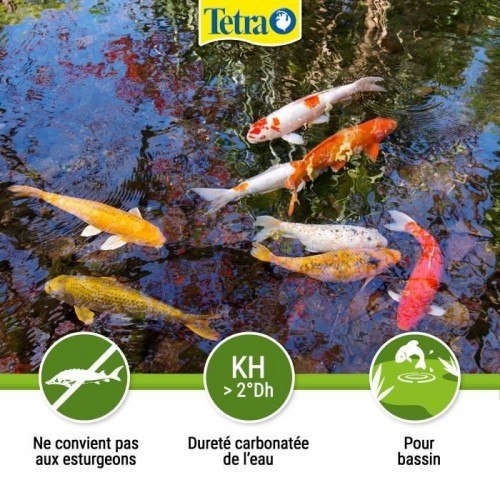 Tetra Pond AlgoRem Removedor de Algas para Lagoas de Jardim