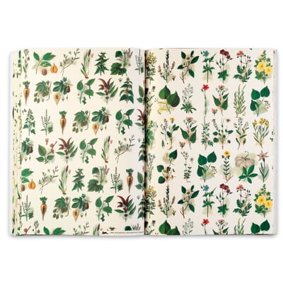 Geschenkpapier Pepin, Flora