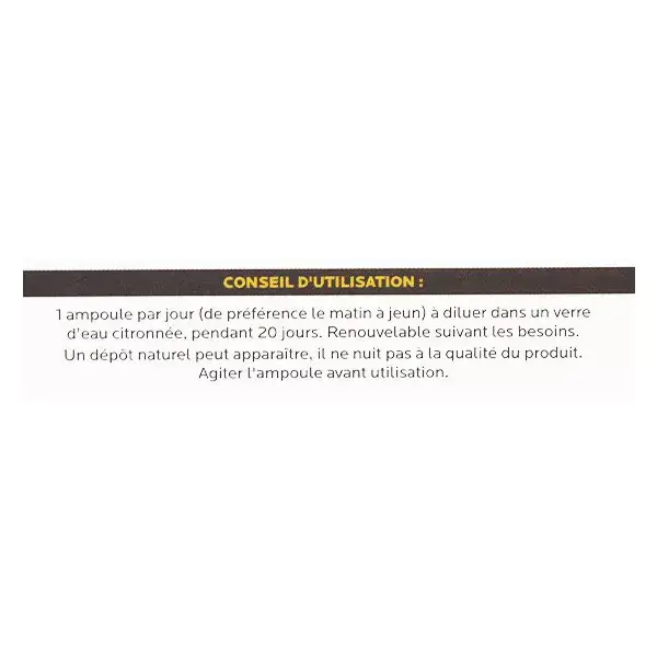 Fitoform Alcachofra Orgânica 20 ampolas