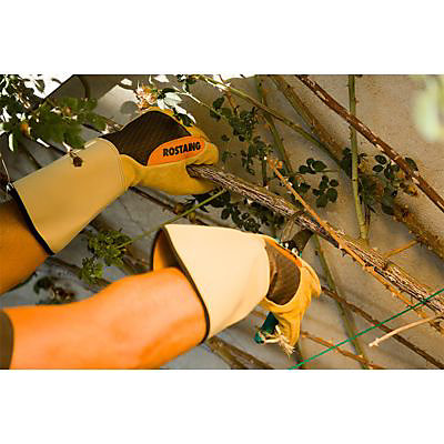 Gants pour l'entretien des épineux Rostaing - Taille 8 (M)