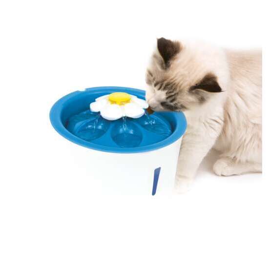 Fontaine à Fleur Catit LED 3L pour chat