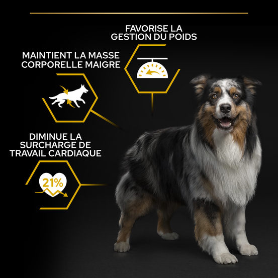 Croquettes chien adulte stérilisé Super Premium - 14 kg
