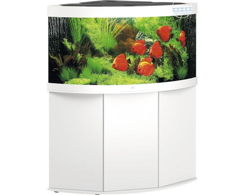 JUWEL Trigon 350 SBX aquariumcombinatie met LED-verlichting, filter, verwarming en witte kast