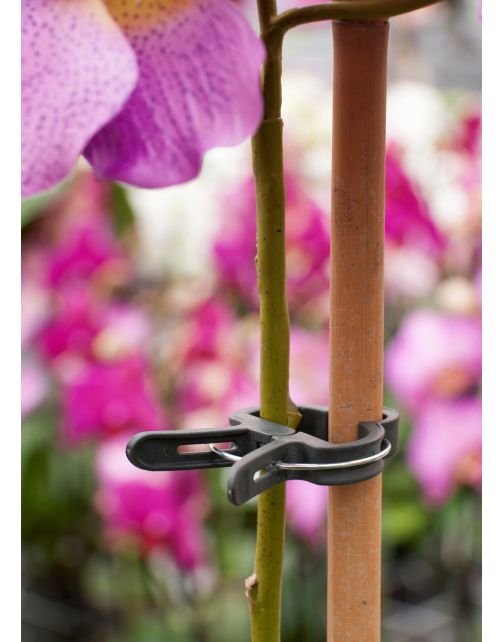 Nature Plantenclip - Klim-En Geleide Artikel - Groen 5 stuks Ø35 Mm
