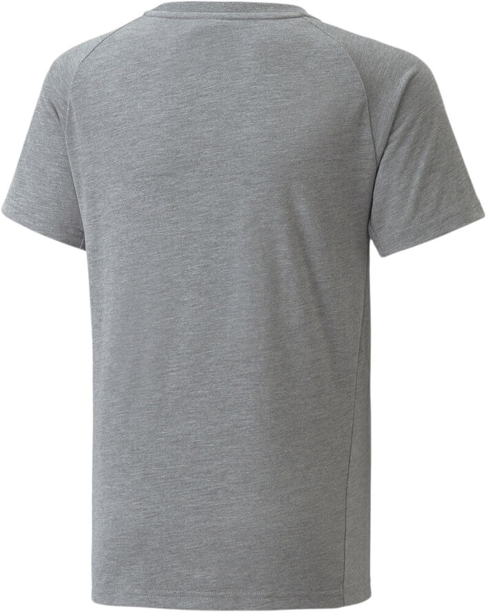 Puma Neymar Jr Evostripe trænings T-shirt Grå