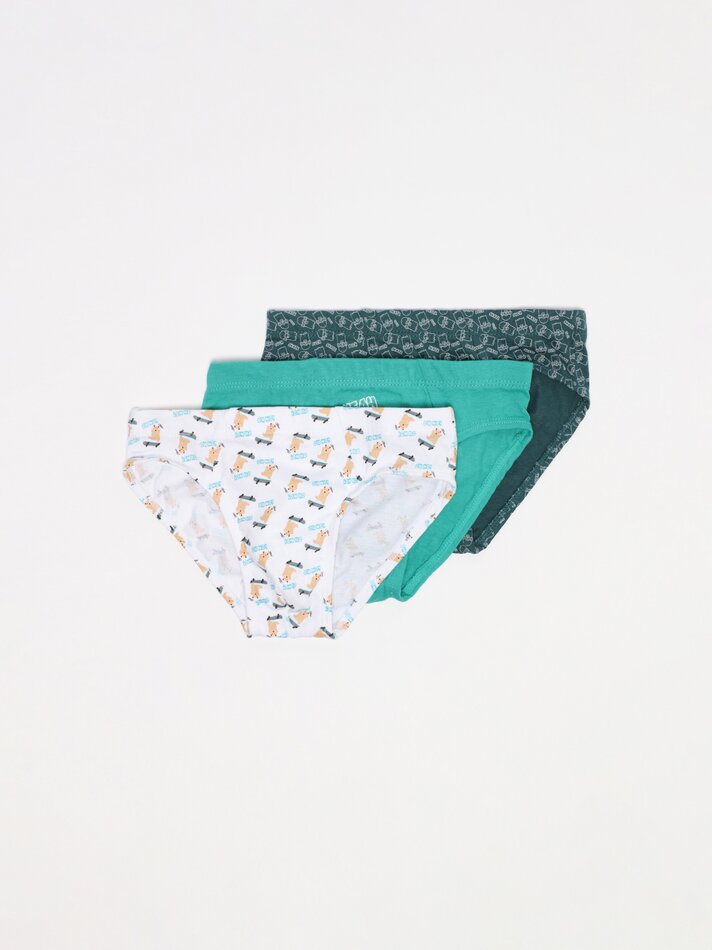 Pacote com 3 cuecas estampadas - Cores variadas