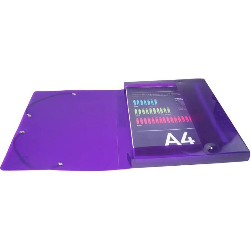Boite de classement en polypropylène Dos 25mm Iderama PP - A4