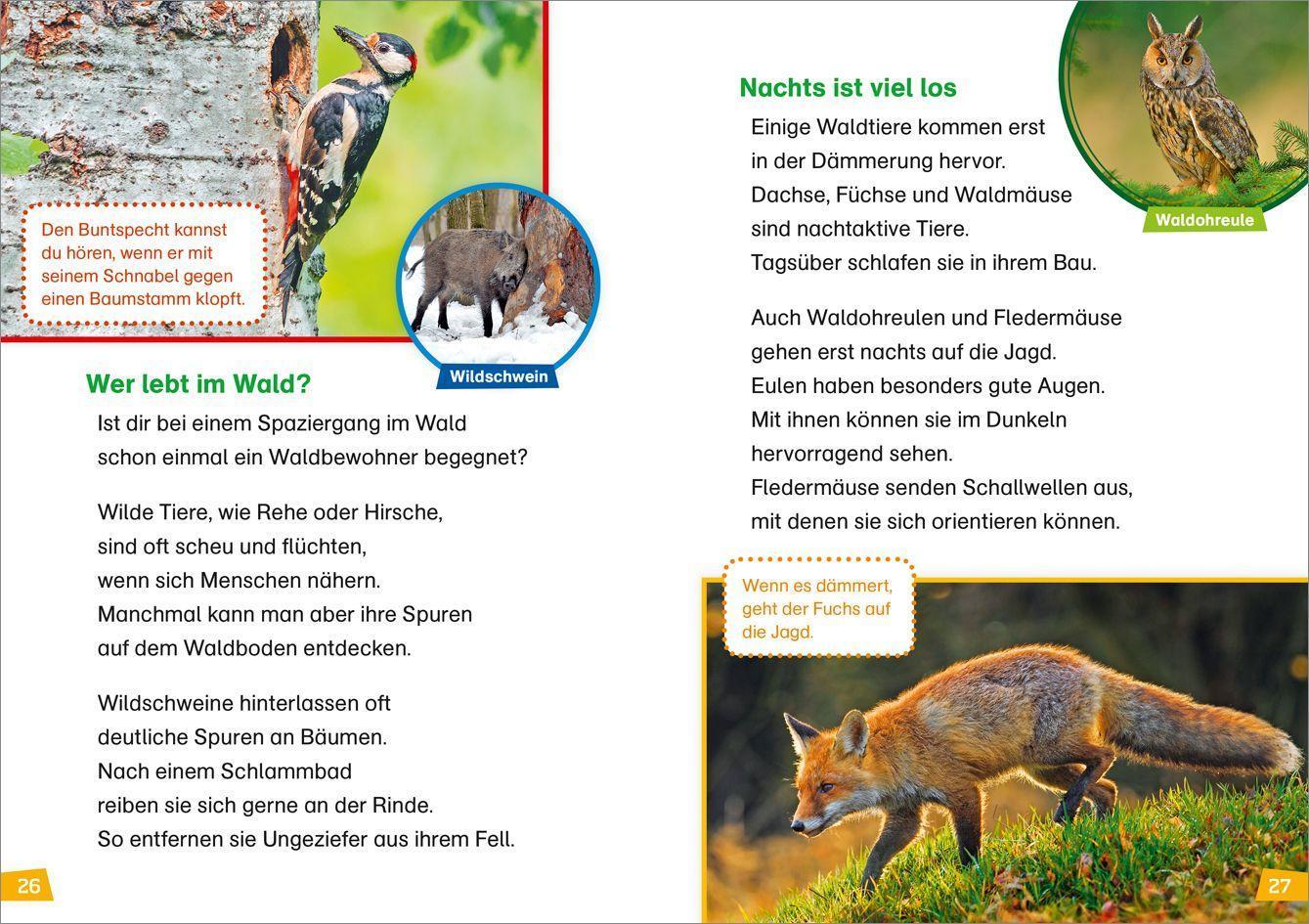 Natur entdecken und schützen / WAS IST WAS Erstes Lesen Bd.4