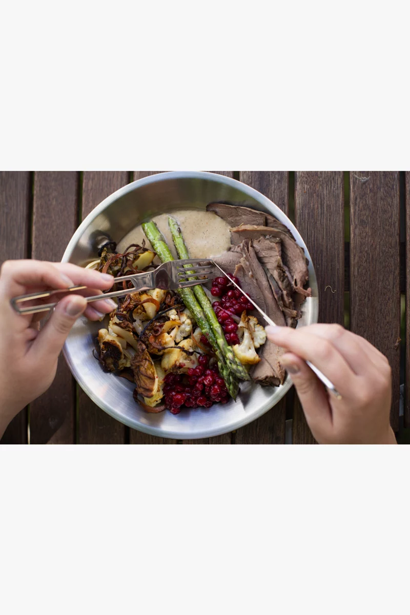 Primus CampFire Plate SS Campinggeschirr