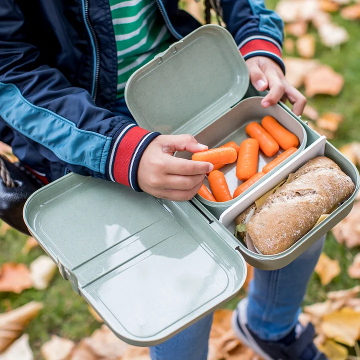 Koziol - Pascal S Lunchbox, nature flower blue