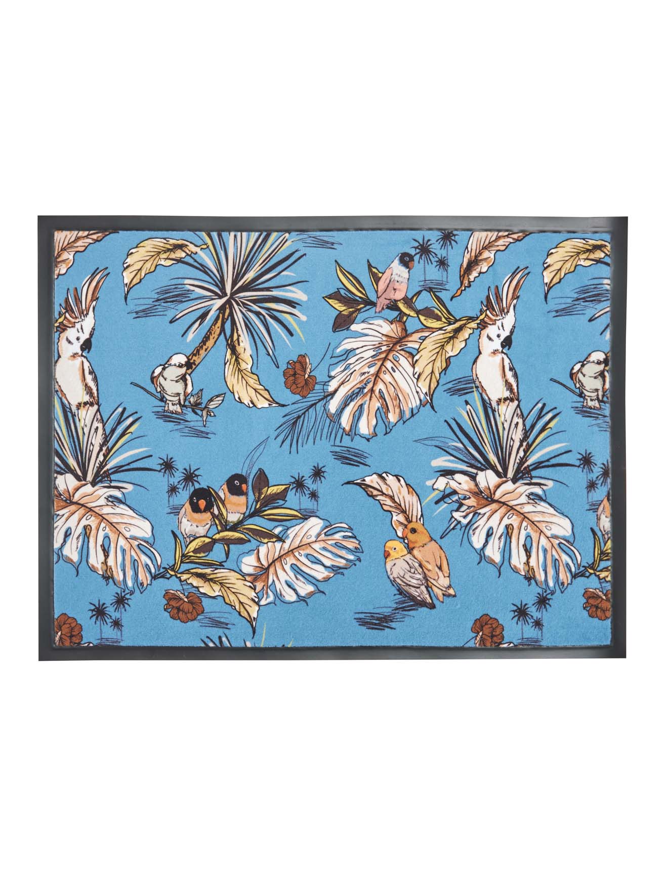 Tapis anti-poussières ultra-absorbant