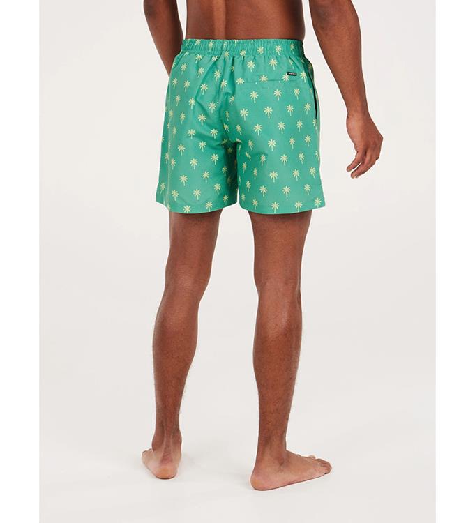 Protest Men PRTALVIS Beachshort