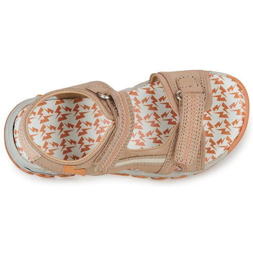 Citrouille et Compagnie - WAYO - Beige