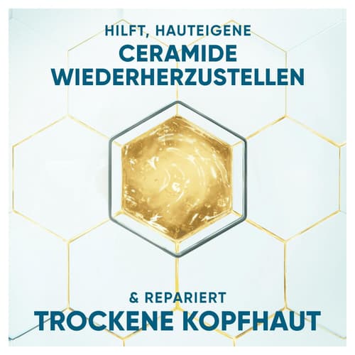 Head & Shoulders DermaXPro Anti-Schuppen-Shampoo Aloe Vera-Extrakt